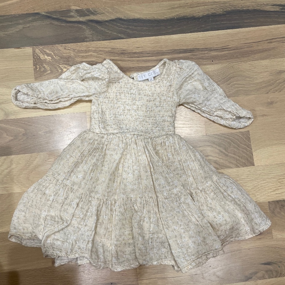 Ivy City Co Lottie Dress Toddler Size 2